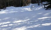 Trail Snowshoes Pont de Montvert - Sud Mont Lozère - Mas de la Barque l'Aubaret et Cassini - Photo 7