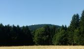 Trail On foot Kopfing im Innkreis - Nr.3 Blick ins Land - Photo 4