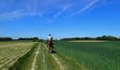 Excursión A pie Beauvechain - #180525 - Tourinnes, variante 8,2 km - Photo 11