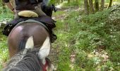 Trail Horseback riding Fauvillers - Bavigne Tripoux 2022 - Photo 3