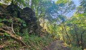 Tocht Stappen Vresse-sur-Semois - Balade à Orchimont - Les Moinils - Photo 6