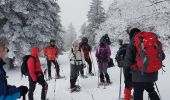 Randonnée Raquettes à neige Autrans-Méaudre en Vercors - La Quoi La Grande Brèche 2020 - Photo 3