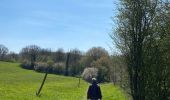 Tour Wandern Assesse - Maillen Grupet Arche - Photo 11