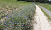 Randonnée Marche Usson-en-Forez - Plan d eau,Sallette, Chassagnole, Truchard,retou - Photo 3