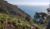 Trail Walking Crozon - FINISTÈRE-  CAP de la CHÈVRE  - Photo 6