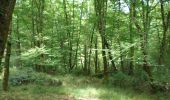Trail Walking Forest-l'Abbaye - LP80_FOREST-L'ABBAYE_7.9Km - Photo 1