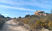 Tocht Stappen Ille-sur-Têt - puig pedros  - Photo 19