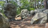 Tour Wandern Soisy-sur-École - Soizy-sur-Ecole - La Padole - Photo 5