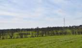 Tour Wandern Welkenrath - 20220411 - Grunhaut 7 Km - Photo 7