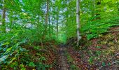 Trail Walking Onhaye - De Miavoye à Maurenne par le vallon de Féron - Photo 8