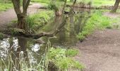 Tour Wandern Maisons-Alfort - maisobs akfort bois de vincennes - Photo 15