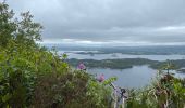 Trail Walking Killarney Municipal District - Muckross House and the Torc water falls - Photo 4