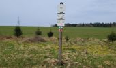 Tour Wandern Bouillon - Cornimont 100324 - Photo 8