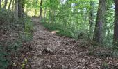 Randonnée Marche Neupré - contreforts de la boucle de l’ourthe - Photo 13