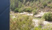 Randonnée Marche Zonza - balade qui monte beaucoup mais belle - Photo 3