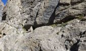 Percorso Marcia Pralognan-la-Vanoise - Arête Ouest de l'aiguille du petit Arcelin - Photo 1