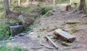Tour Wandern Forbach - Rote Lache - Lac Schwarzenbachstausee - Badener Höhe (Rother n°39) - Photo 3