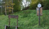 Tocht Stappen Illy - départ d'Olly, arrivée au milieu de la forêt domaniale de Sedan, Ardennes - Photo 16