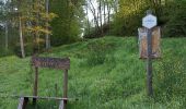 Randonnée Marche Illy - départ d'Olly, arrivée au milieu de la forêt domaniale de Sedan, Ardennes - Photo 16