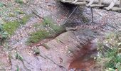 Trail Walking Aywaille - ninglinspo rando 21 - Photo 12