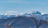 Tour Wandern Saou - Forêt de Saoù - Saint-Médard - Photo 6