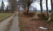 Tour Wandern Monschau - Kalterherberg - rocher du Bieley - Photo 8