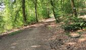 Trail Walking La Roche-en-Ardenne - promenade 4 et 5 pour le groupe du jeudi - Photo 14