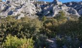 Trail Walking Puyloubier - Puyloubier - Hermitage de St. Ser- Col de Vauvenarguse - Pic des mouches - Puyloubier - Photo 19