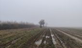 Percorso Marcia Gif-sur-Yvette - Chevry - Photo 3