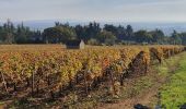 Tour Wandern Givry - Boucle de Givry à Russilly - Photo 1