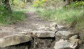 Excursión Senderismo Puy-Saint-Martin - La Montagne de Ste-Euphémie - Puy-St-Martin - Manas - Photo 10