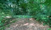 Randonnée Marche Dampleux - en Forêt de Retz_101_05_2026_sur la Route des Briolles et la Route de Hautwison - Photo 12