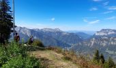 Tour Wandern Manigod - ARAVIS: PLATEAU DE BEAUREGARD - Photo 20