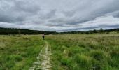 Tour Wandern Saint-Merd-les-Oussines - RA2020 MIV Tour Tourbière Loigeroux - Photo 3