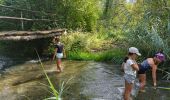 Trail Walking Rhinau - ile de rhinau2 - Photo 10