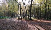 Randonnée Marche Esneux - Es eux rond de chêne  - Photo 7