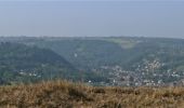 Trail Walking Liège - Grivegnée Beyne-Heusay Jupille Grivegnée - Photo 10