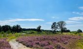 Tocht Stappen Genk - de-wijers-de-maten-startplaats-slagmolen-oranje - Photo 1