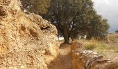 Excursión A pie Tierz - Huellas de la Guerra. Trincheras de Loporzano y Tierz - Photo 6