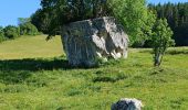 Tocht Stappen Rencurel - Col de Romeyere  - Photo 1