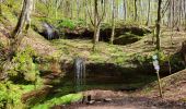 Trail Walking Lemberg - Lemberg - cascade des Ondines - sentiers des grottes et des étangs - Photo 3