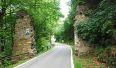 Tour Zu Fuß Gemeinde Hardegg - Hardegger Rundwanderweg - Photo 5