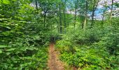 Tour Wandern Bouillon - Balade à Ucimont - Photo 17