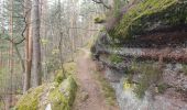Trail Walking Wangenbourg-Engenthal - Le donjon du Wangenbourg - Photo 7