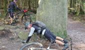 Tocht Mountainbike Wangenbourg-Engenthal - engenthal samedi - Photo 1