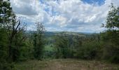 Trail Walking Houyet - Houyet - Hour - Wiesme - Mesnil-Eglise - Photo 6