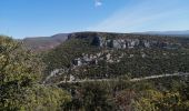 Randonnée Marche Lioux - la falaise de la madelaine - Photo 3