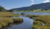 Tour Wandern Bellefontaine - Lac de Bellefontaine er lac des Mortes . - Photo 2