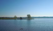 Tocht Te voet Zürich - Witikon - Greifensee - Photo 7