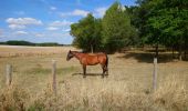 Trail Walking Saunay - Saunay - Sur les pas de Saint-Martin - 18.7km 170m 4h05 - 2022 09 04 - Photo 4